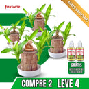 Planta em Vaso - Aurora da Abundância - Compre 1 e Leve 2 - Black Week + Brinde