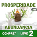 Planta em Vaso - Aurora da Abundância - Compre 1 e Leve 2 - Black Week + Brinde