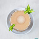 Planta em Vaso - Aurora da Abundância - Compre 1 e Leve 2 - Black Week + Brinde